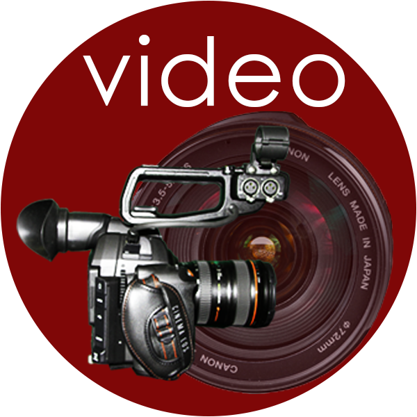 Video Demo Page
